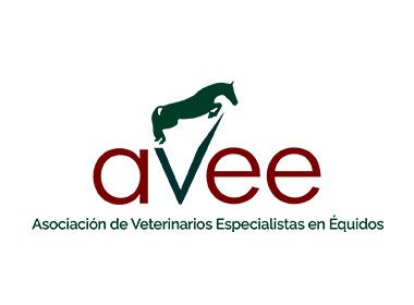 Congreso Anual AVEE