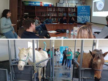 Curso de Transferencia de Embriones Equinos organizado por Minitub Ibérica y UNEX