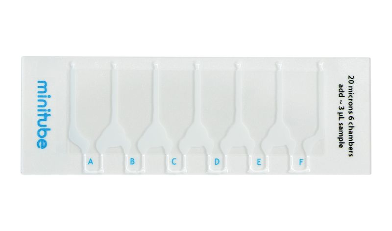 Disposable counting chamber Minitube, 20 µm, 6 counting areas