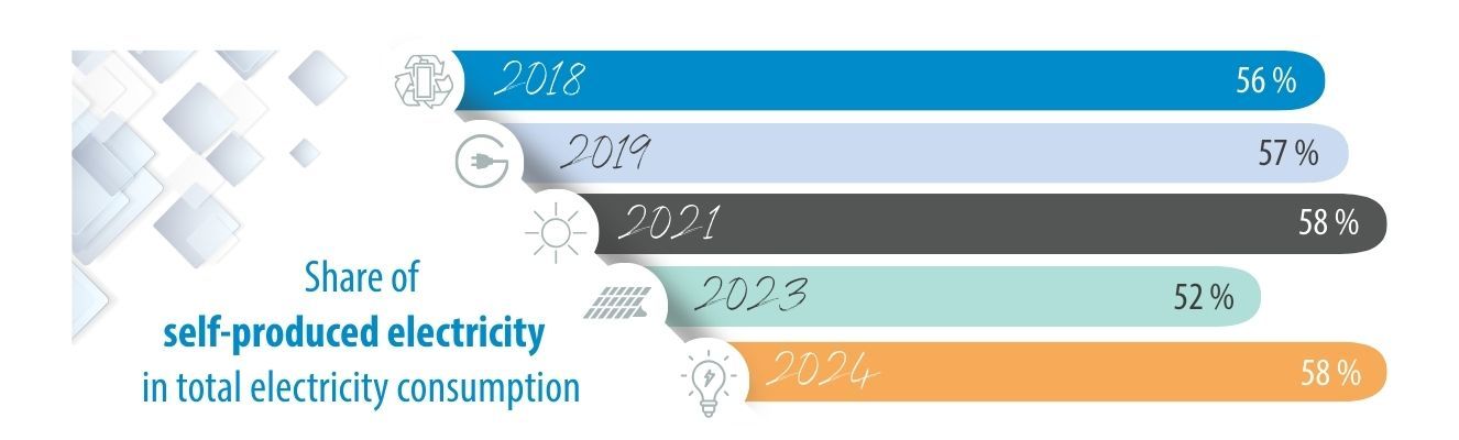 Share of self-produced electricity